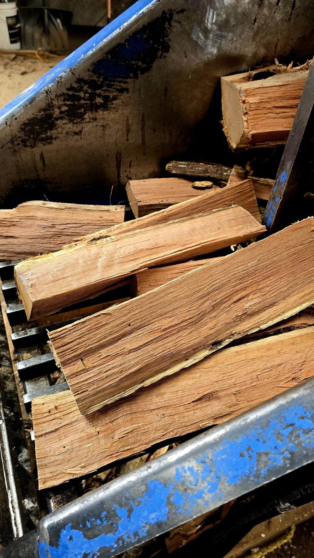 Fresh hardwood moving through KIR's blue splitter